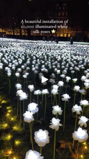 In Memory Of Loved Ones, Grosvenor Square, Mayfair London, Free Entry, 3 Pm, Visit London, Free Things To Do, Silk Roses, Free Things