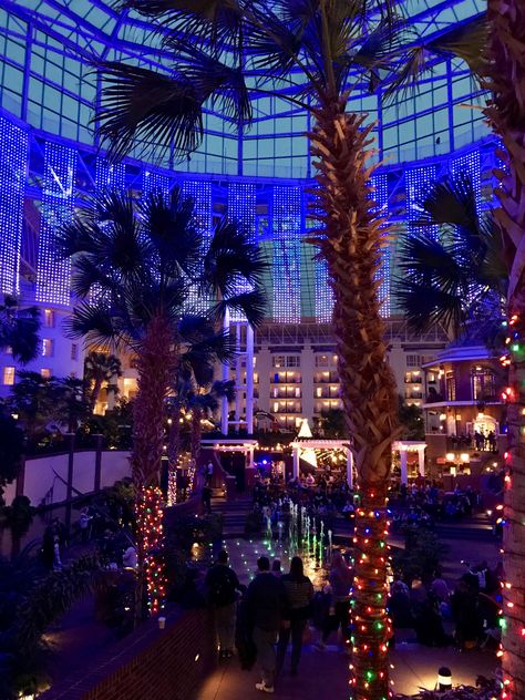 Opryland Hotel Christmas, Christmas Tennessee, Christmas In Nashville, Nashville Christmas, Hotel Christmas, Opryland Hotel, Tennessee Travel, Nashville Trip, Christmas Shows