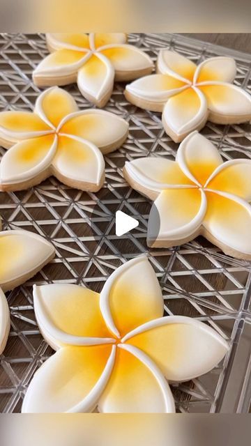 Hawaiian Flower Cookies, Hawaii Cookies Decorated, Plumeria Cookies Decorated, Airbrushed Cookies Decorated, Hawaiian Theme Cookies, Hawaiian Cookies Decorated, Aloha Cookies, Airbrush Cookies Ideas, Flower Cookies Decorated