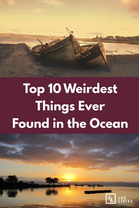 The oceans are arguably the most mysterious places on Earth. We have always been both fascinated and scared of it. Check out the list below for the top 10 weirdest things ever found in the ocean! Mysterious Things In The World, Weird Things Found In The Ocean, Things Found In The Ocean, Ocean Mysteries, Mysterious Places On Earth, Diy Science, Places On Earth, Mysterious Places, Scary Places