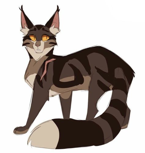 Warrior Cats Series, Cat Profile, Warrior Cats Fan Art, Warrior Cat Drawings, Warrior Cat Oc, New Template, Cat Oc, Cat Sketch, Cat Spray