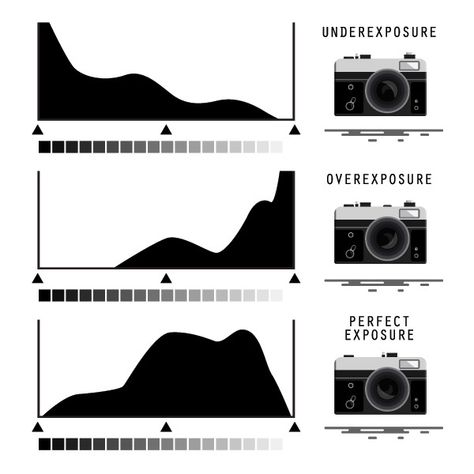 Manual Mode Photography, Photography Terms, Aperture Settings, Photography Cheat Sheets, Landscape Photography Tips, Photography Basics, Photography Tips For Beginners, Take Better Photos, Photography Lessons