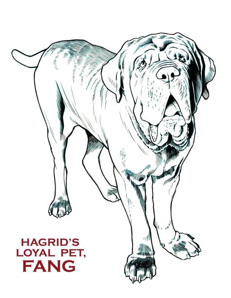 HARRY POTTER: HAGRID'S PET FANG by Jerome-K-Moore.deviantart.com on @deviantART Harry Otter, Rubeus Hagrid, Potter Art, Harry Potter Tattoos, Pets Drawing, Hogwarts Aesthetic, Harry Potter Films, Harry Potter Drawings, Harry Potter Fan Art