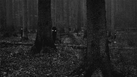 via GIPHY Monsters In The Woods, Eyes Watching You, Monster In The Dark, Monster Animation, Peeping Eyes, Woods Night, Watching You, Octopus Vulgaris, Eternal Darkness