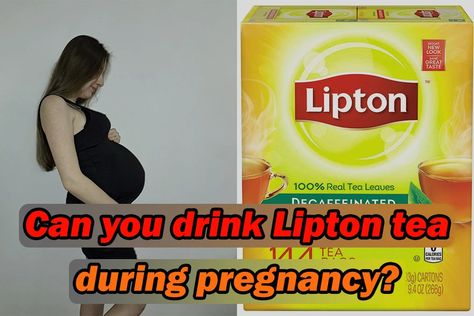 Most pregnant ladies look for a refreshing drink, especially in the morning. Are you searching for a safe, refreshing drink, too? Here we want to discuss a refreshing beverage called Lipton tea. Drinking Lipton tea during pregnancy offers several health benefits, but some points must be considered. Pregnancy Pills, Pregnant Drinks, Lipton Green Tea, Basil Tea, Lipton Ice Tea, Lipton Tea, Raspberry Leaf Tea, Unborn Baby, Pregnant Diet