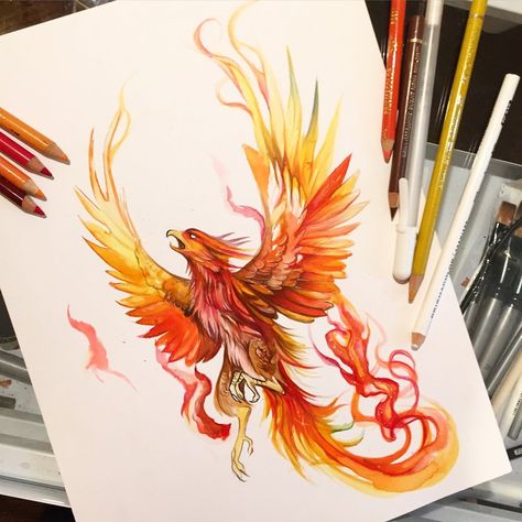 200- Rise of the Phoenix by Lucky978.deviantart.com on @DeviantArt Katy Lipscomb, Tato Phoenix, Fenix Tattoo, Phoenix Drawing, Phoenix Bird Tattoos, Phönix Tattoo, Vogel Tattoo, Kunst Tattoos, Phoenix Tattoo Design