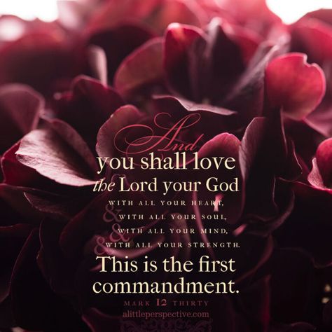 mar-12-30-KJV-unsplash First Commandment, Mark 12 30, Jesus Printable, Butterfly Quotes, Beautiful Bible Verses, Scripture Pictures, Biblical Verses, Faith Bible, Song Of Solomon