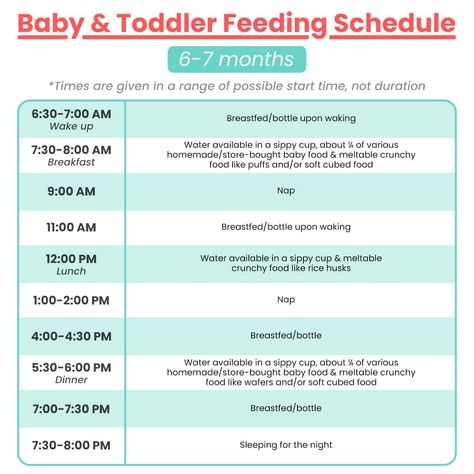 6 - 7 Month Old Feeding Schedule with Free Printable 7 Month Old Feeding Schedule, 6 Month Old Feeding Schedule, Emma Food, Food Schedule, Baby Food Schedule, 7th Month, 5 Month Old Baby, 7 Month Old Baby, Baby Feeding Schedule