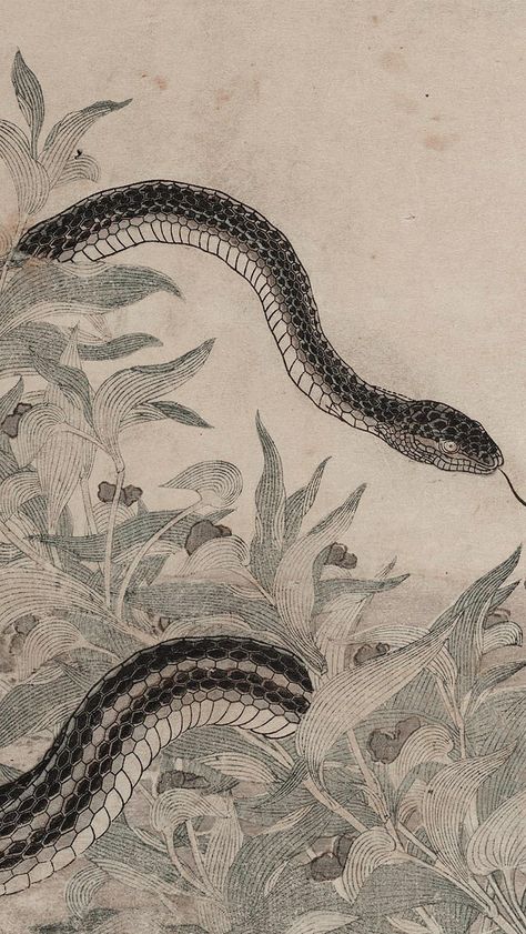 Snake Illustration, Snake Wallpaper, Arte Peculiar, Snake Art, Year Of The Snake, Scientific Illustration, Art Japonais, Japanese Woodblock Printing, Japanese Painting