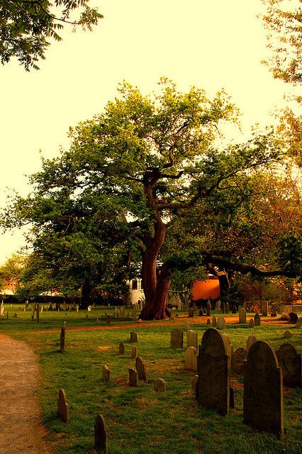 America's second oldest cemetery by lehcar1477 Graveyard Aesthetic, October Country, American Cemetery, Salem Massachusetts, Old Cemeteries, Cemetery Art, Salem Ma, Afraid Of The Dark, Old Stone