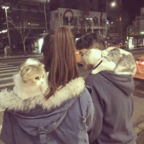 Así #catlovers Foto Top, Couple Fashion, Could Be Us, Two Cats, Ulzzang Couple, Goals Pictures, Korean Couple, Fashion Goals, Relationship Goals Pictures