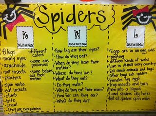 spiders KWL - laminate to use every year Back To School Word Search, School Word Search, Glad Strategies, October Kindergarten, Spider Unit, Science Websites, October Classroom, October School, Amy Lemons