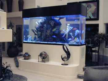 built in saltwater tank | The first step in saltwater aquarium set up is choosing a location ... Aquatic Ambience, Aquarium Mural, Saltwater Aquarium Setup, Aqua Scaping, Aquarium Set, Acrylic Aquarium, Amazing Aquariums, Awesome Furniture, Cool Fish Tanks