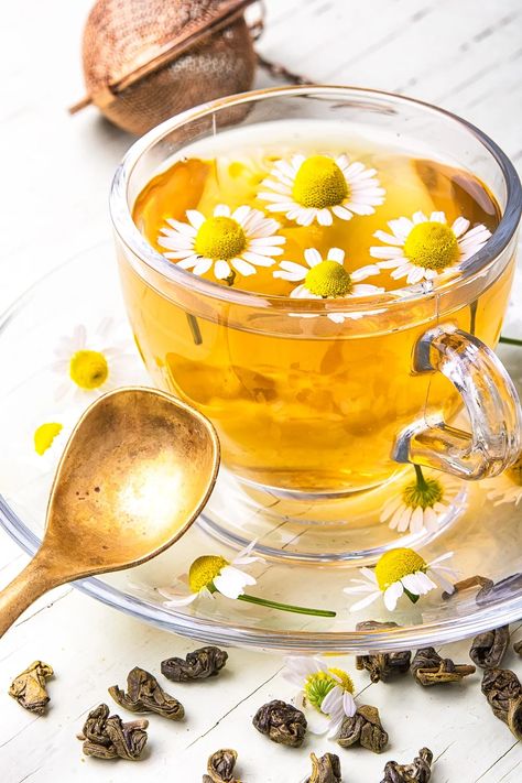 Grow Chamomile For Tea- Relax. It's Easy! Chamolie Tea, Grow Chamomile, Chamomile Growing, Chamomile Seeds, Thanksgiving Lunch, Chamomile Plant, Tea Flowers, Raw Pork, Tea Photography