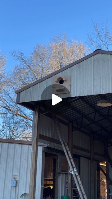 86K likes, 939 comments - nativehabitatproject op February 6, 2024: "Can’t wait to get some barn owl families started! Barn Owl Box Company #nativehabitatproject #barnowls #conservation #birdhouse". Barn Owls, Owl Boxes, Owl Birdhouse, Barn Birdhouses, Habitats Projects, Owl Box, Box Company, Barred Owl, Owl Family