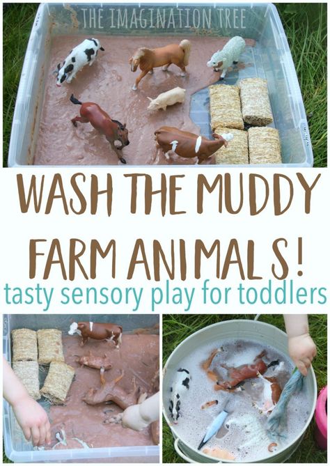 Wash the muddy farm animals sensory play for babies, toddlers and preschoolers! This is taste-safe and so much fun for messy play times! Sensory Play For Babies, Sensory Play Toddlers, Imagination Tree, Farm Preschool, Baby Sensory Play, Nursery Activities, Farm Activities, Toddler Sensory, Kids Valentines