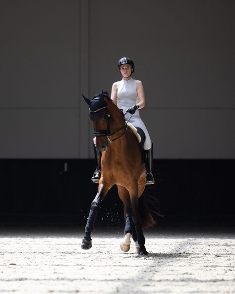 Maximilian Equestrian | My dancing partner 🕺 #equestrian #horse #dressage | Instagram Dressage Aesthetic, Equestrian Dressage, Horse Dressage, Horse Aesthetic, Dressage Horses, Dream Lifestyle, Horse Pictures, Horse Love, Cute Cars