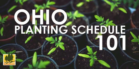 Ohio Planting Guide, Ohio Vegetable Garden Plan, Ohio Gardening Vegetables, Ohio Vegetable Garden, Northeast Ohio Gardening, Gardening In Ohio, Ohio Homesteading, Ohio Gardening, Seed Planting Guide