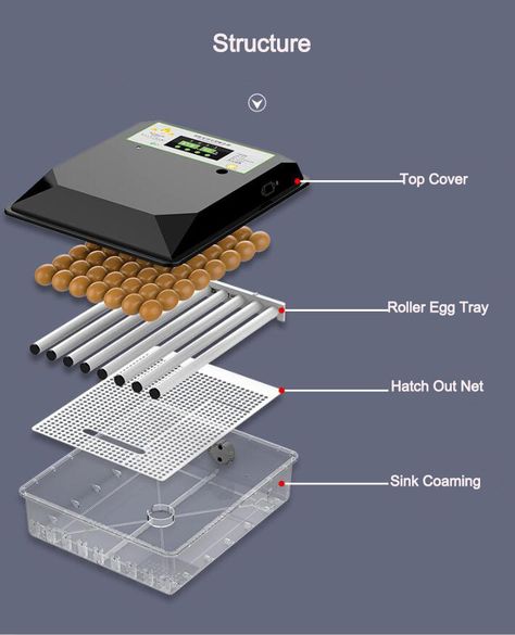 Diy Incubator Eggs, Diy Incubator, Pigeon Eggs, Hatching Egg, Egg Incubator, Chicken Cages, Hatching Eggs, Pigeon, Farm Animals