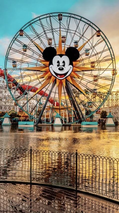 Disneyland Images, Disneyland 2023, Disney Calendar, Disney Frames, Disney Parque, Disneyland Rides, Disneyland Photos, Disney Photo Ideas, Disneyland Pictures