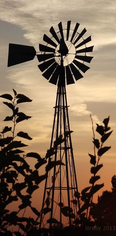 Windmill silhouette | lilruby | Flickr Country Scenes Farms Landscapes, Windmill Silhouette, Clock Tattoos, Farm Windmill, Windmill Water, Farm Scenes, Old Windmills, Wind Mills, Country Scenes