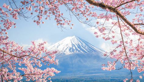 Fuji Mountain Painting, Gunung Fuji, Japan Postcard, Mt Fuji Japan, Japan Watercolor, Canvas Art Painting Acrylic, Spring In Japan, Fuji Japan, Fuji Mountain