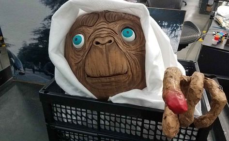 E.t. Pumpkin, Creative Pumpkin Painting, Pumpkin Carvings, Halloween Pumpkin Designs, Creative Pumpkins, Halloween Pumpkins Carvings, Fair Projects, Pumpkin Painting, Pumpkin Design