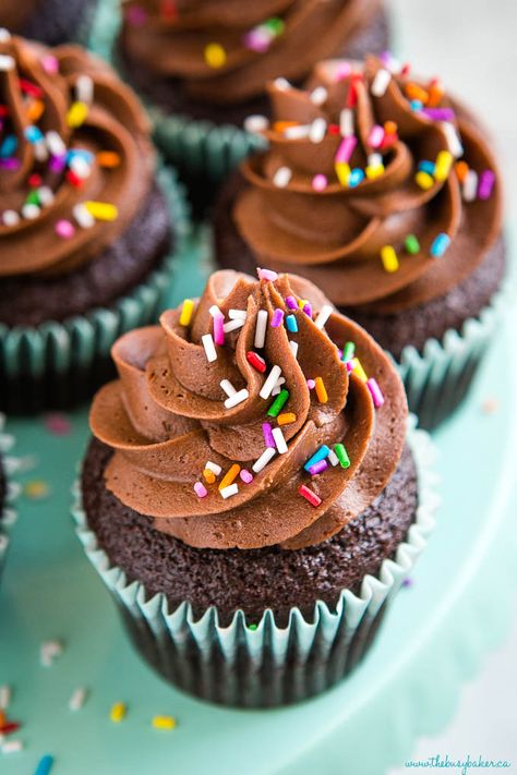 Make this chocolate cupcake recipe from scratch in ONE bowl for the best cupcakes ever - topped with fluffy chocolate buttercream frosting! Recipe from thebusybaker.ca! #cupcakes #chocolate #sprinkles #birthday #party #celebration #homemade #fromscratch #birthdaycake Chocolate Cupcakes From Scratch, Cupcakes From Scratch, Cupcake Recipes From Scratch, Sprinkles Birthday Party, Best Chocolate Cupcakes, Cupcake Recipes Chocolate, Chocolate Buttercream Frosting, Chocolate Sprinkles, Birthday Party Celebration