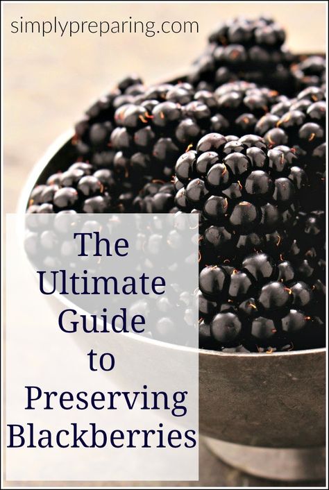 How to preserve blackberries - Simply Preparing - http://simplypreparing.com/how-to-preserve-blackberries/ Dehydrated Blackberries, Preserving Blackberries, Freezing Blackberries, Preserve Blackberries, Preserving Berries, Freeze Blackberries, Canning Oranges, Canning Blackberries, Growing Berries