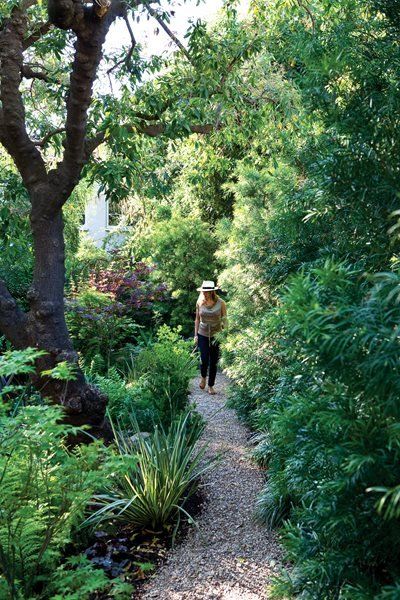 Shade Garden Pictures - Gallery | Garden Design Acanthus Mollis, Portland Garden, Los Angeles House, Lake Garden, Garden Solutions, Sloped Garden, House And Garden, Garden Pictures, Woodland Garden