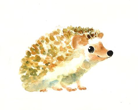 Paintings Tumblr, Hedgehog Drawing, A Hedgehog, Cute Hedgehog, Art Et Illustration, Watercolor Inspiration, Watercolor Drawing, Hedgehogs, Watercolor Animals