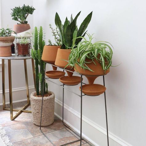 Planter pots indoor