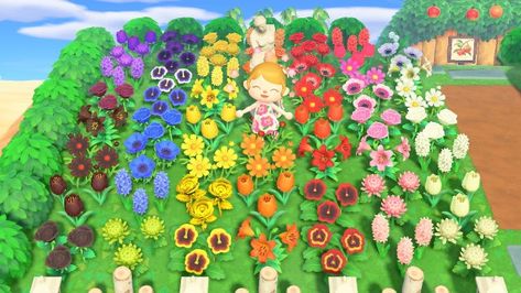 Acnh Flowers, Flowers Guide, Lily Images, Tulips Images, Flower Rainbow, Rainbow Garden, White And Pink Roses, Animal Crossing Characters, Rainbow Magic