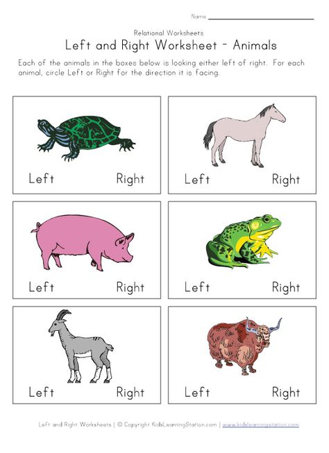 facing left right worksheet Left Right Activities, Left And Right Worksheets, Montessori Games, Colouring Activities, Teaching Worksheets, Stem Activities Preschool, Healthy Vision, Animal Worksheets, Worksheet For Kids