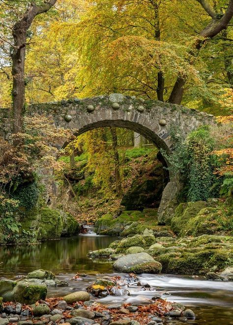 Calming Pictures, Old Bridges, Nature Art Drawings, Bridge Photography, Between Two Worlds, Stone Bridge, Landscape Photography Nature, Fantasy Forest, Landscape Art Painting