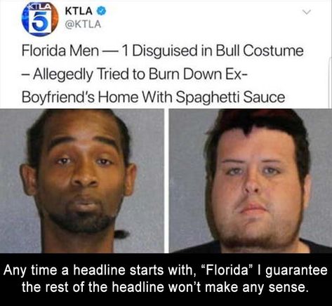 Only In Florida Funny, Only In Florida, Dumpaday Funny Funniest Pictures, Florida Man Funny, Florida People, Florida Men, Florida Funny, Funny Tumblr, Florida Man