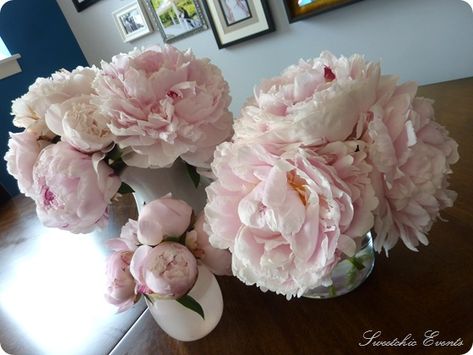 Garden Photos, Community Board, Secret Garden, Memorial Day, I Saw, Peonies, Florist, Beautiful Flowers, Lawn