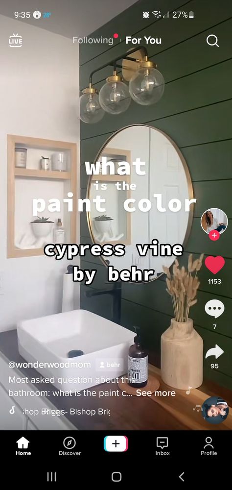 Behr Ripe Olive, Behr Cypress Vine Paint, Cypress Vine Behr, Behr Cypress Vine, Sunroom Remodel, Cypress Vine, Moody Living Room, New House Bathroom, Moody Bedroom