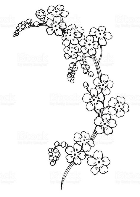 Forget Me Not Flowers Drawing, Flower Tattoo Outline, Flowers Drawing Simple, Forget Me Not Flower Tattoo, Forget Me Nots Flowers, Forget Me Not Flowers, Flower Box Gift, Garden Plans, Flowers Arrangements