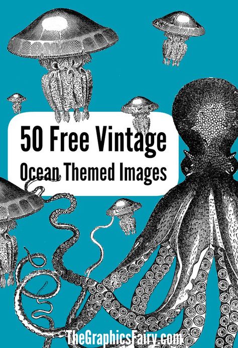 I have 50 favorite free ocean themed graphics for you today! Boats, sea creatures, bathing beauties, and shells are a few of the pretty images you'll find n this round up over at The Graphic Fairy.... Ocean Clipart, Ocean Images, Nautical Crafts, Vintage Ocean, The Graphics Fairy, Graphics Fairy, Vintage Junk, Vintage Junk Journal, Free Poster