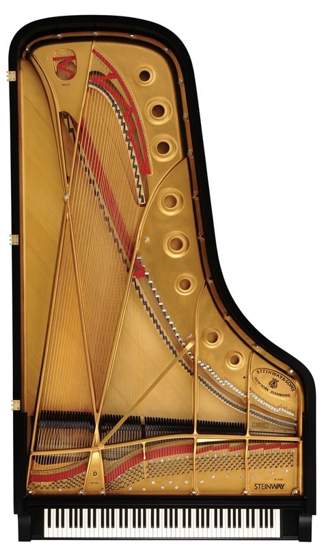 Steinway Grand Piano, Architectural Drafting, Steinway Piano, Old Piano, Piano Art, Baby Grand Pianos, Piano Keys, Playing Piano, Grand Piano