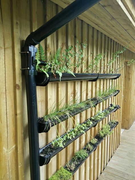 Drainpipe Planter, Future Farms, Plant Ideas, Forest School, Fruit Garden, Garden Borders, Front Garden, Vertical Garden, Container House