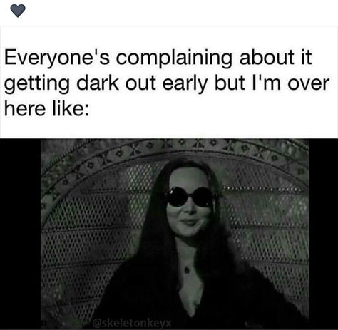 Spooky Quotes, Goth Humor, Gang Quotes, Goth Memes, Fall Mood Board, Halloween Quotes, Introverted, Addams Family, Intj