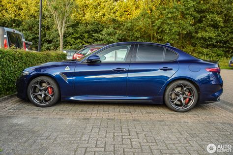 Alfa Romeo Giulia Quadrifoglio 9 Alfa Romeo Guila, Alfa Romeo Quadrifoglio, Alfa Romeo Giulia Quadrifoglio, Alfa Giulia, Fiat Argo, Alfa Alfa, Alfa Romeo Cars, Alfa Romeo Giulia, Car Brand