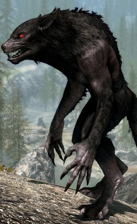 Skyrim Werewolf, Skyrim Special Edition Mods, Werewolf Aesthetic, Werewolf Art, Creature Drawings, Skyrim, Funny Clips, New Set, Transformers