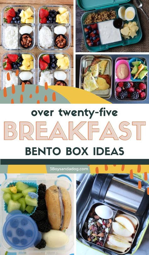 Start the day with these delicious Bento Breakfast Box Ideas! They're fast, simple, and full of flavor - and ready to fill bellies! Adult Bento Box Breakfast Ideas, Lunch Box Breakfast Ideas, Breakfast Snack Box Ideas, Breakfast Protein Box Ideas, Breakfast Bistro Boxes, Breakfast Bento Box Ideas For Adults, Healthy Breakfast Bento Box Ideas, Bento Box Breakfast For Adults, Bagel Bento Box Ideas