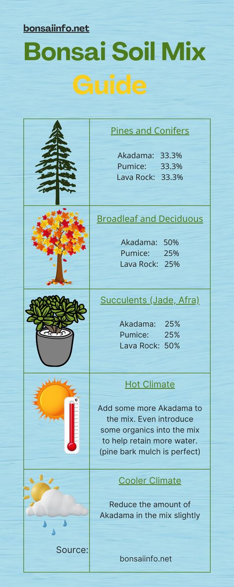 A basic guide to bonsai soil mixes and ratios. For a more detailed overview and list of substitutes that can be used, Go to bonsaiinfo.net to take a deeper dive. Bonsai Soil How To Make, Bonsai Soil Mixture, Bonsai Succulents, Baby Parakeets, Garden Of Eve, Bonsai Inspiration, Bonsai Making, Bonsai Pruning, Bonsai Ficus