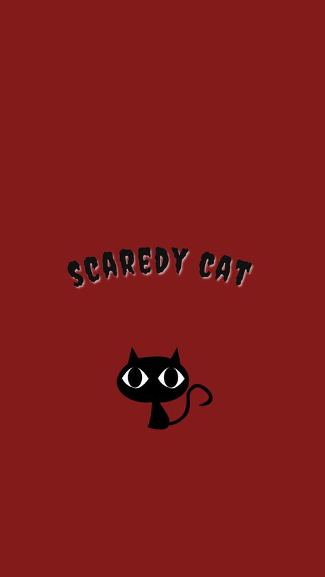 Scared Wallpaper, Cat Aesthetic Wallpaper, Scaredy Cat, Funny Iphone Wallpaper, Cat Aesthetic, Aesthetic Iphone, Cat Diy, Cat Paws, Cat Care