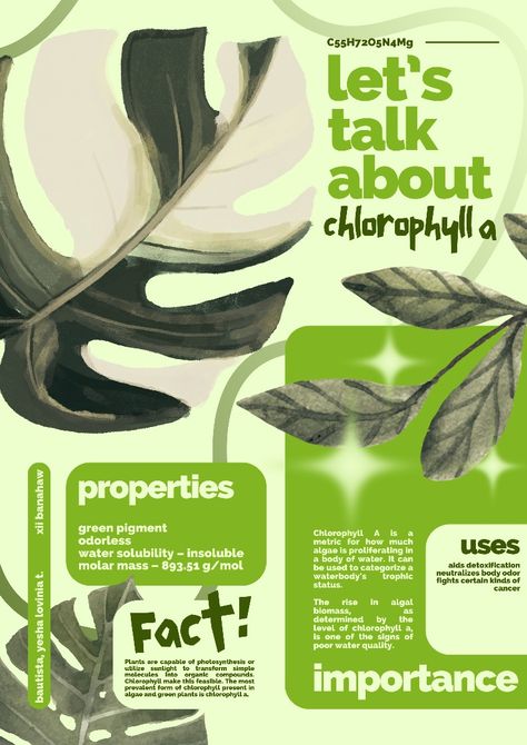 infographics by @ynkterpreter. — chlorophyll a poster design Poster Ideas Information, Plant Infographic Design, Infographic Poster Design Creative, Graphic Design Posters Infographic, Wildlife Graphic Design, Nature Infographic Design, Plant Sale Poster, Biology Graphic Design, Natural Poster Design