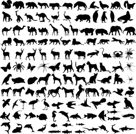 Wild animals in the forest Royalty Free Vector Image Tattoo Silhouette, Giraffe Silhouette, African Paintings, Easy Animals, Silhouette Images, Silhouette Illustration, Silhouette Stencil, Animal Silhouette, Graphic Design Tools